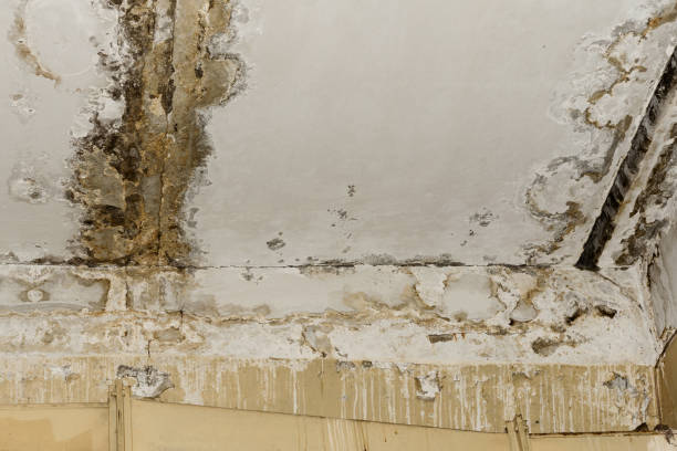 Best Post-Remediation Verification Testing  in White Horse, NJ