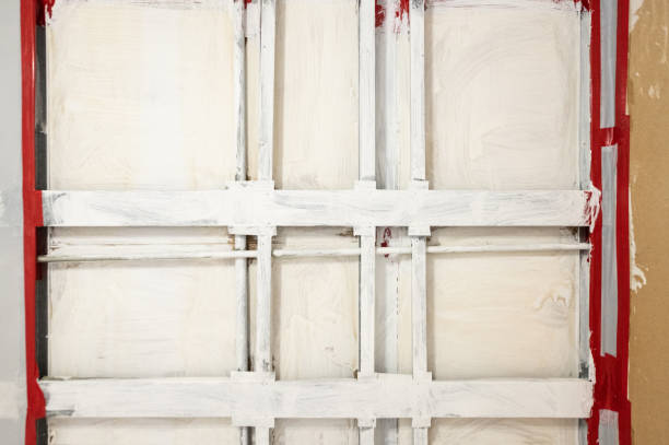 Best Black Mold Removal  in White Horse, NJ
