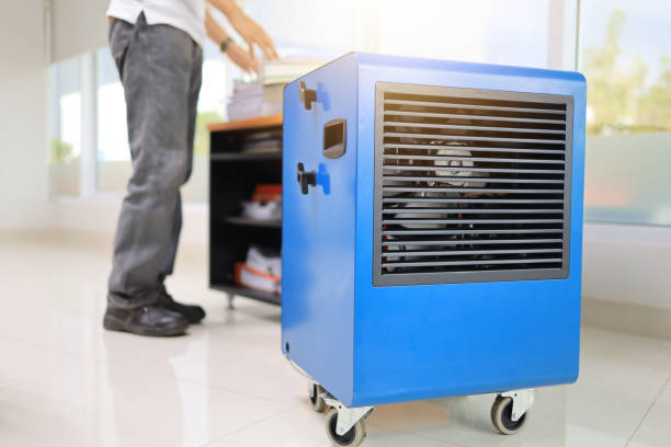 Best Mold Remediation for Vacation Homes  in White Horse, NJ